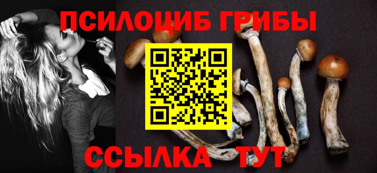Коломна  Псилоцибиновые грибы Psilocybine cubensis  Псилоцибиновые грибы MAGIC MUSHROOMS  Вход с VPN 